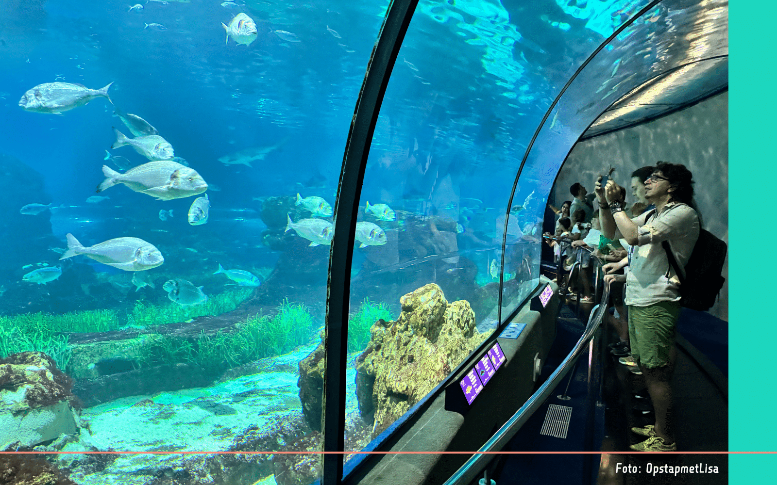Barcelona aquarium