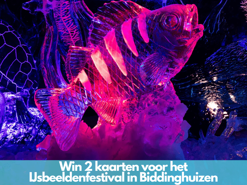 IJsbeeldenfestival