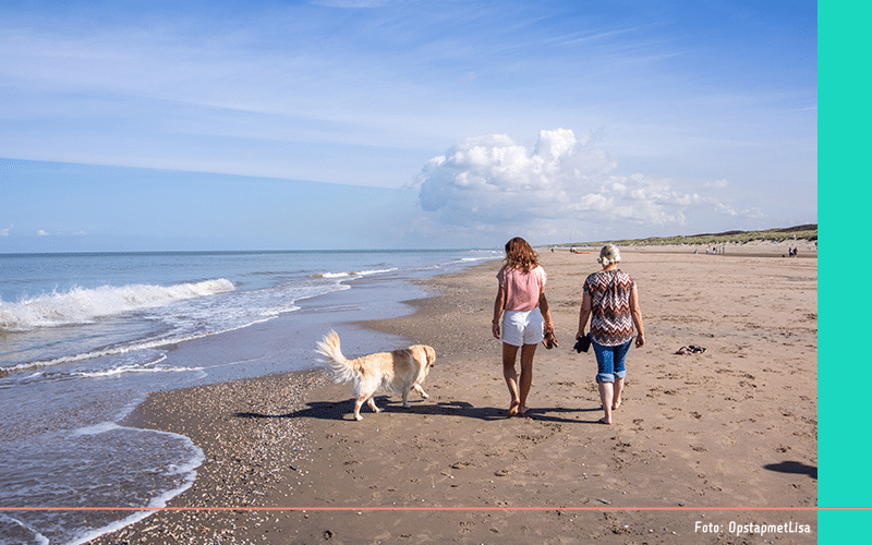 Hondenlosloopgebieden