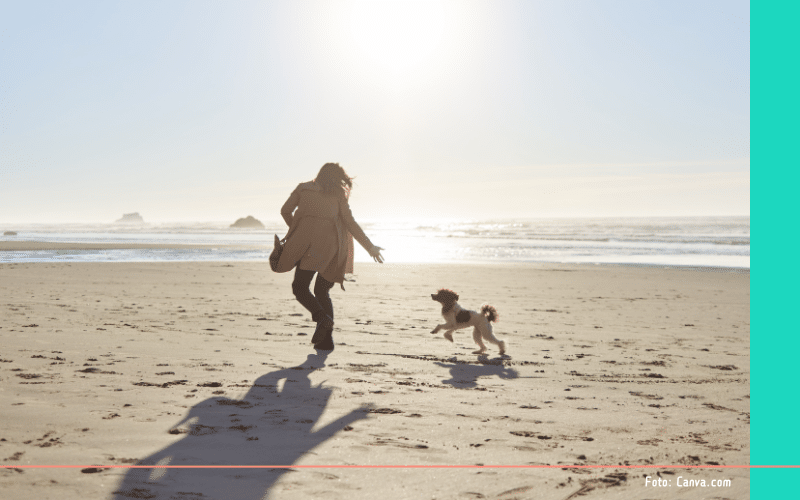 Hondenlosloopgebieden