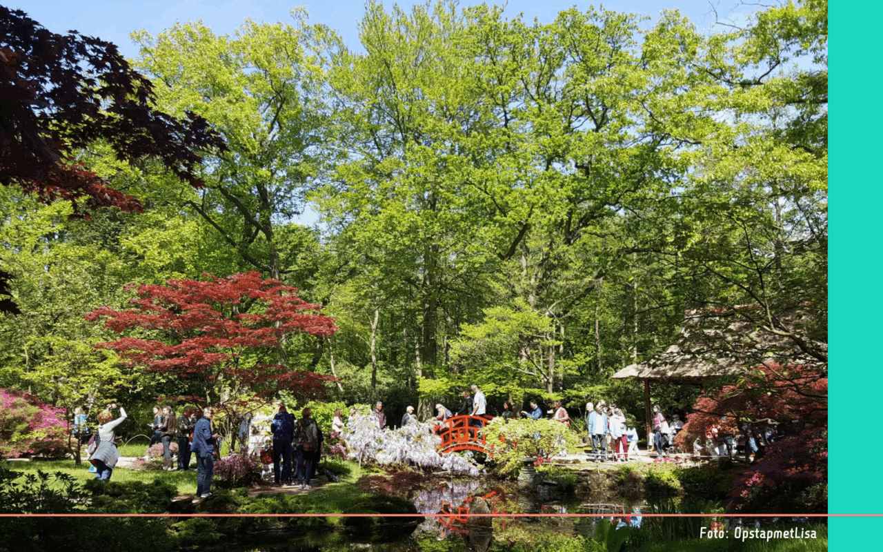 Japanse Tuin Den Haag (3)