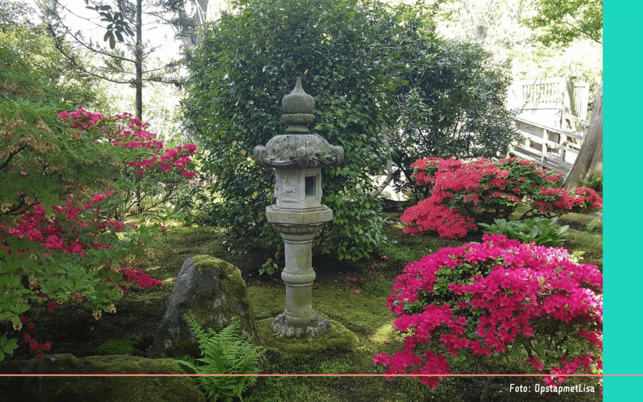 Japanse Tuin Den Haag (3)