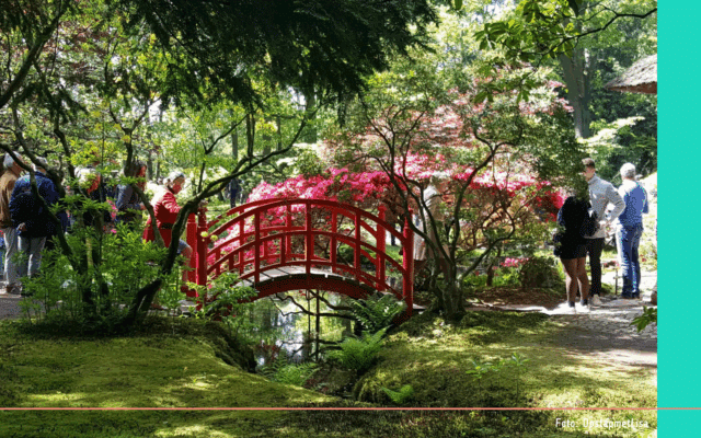 Japanse Tuin Den Haag (3)