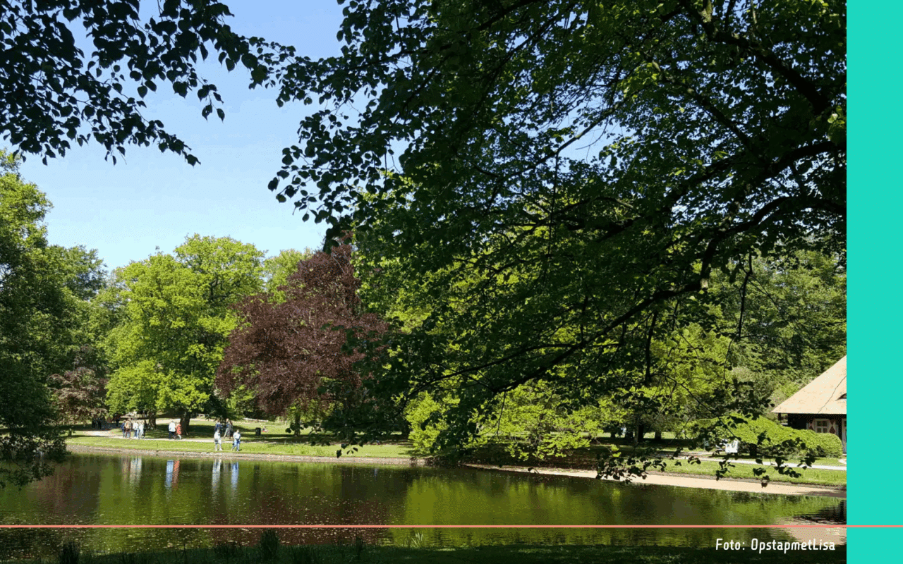 Japanse Tuin Den Haag (3)
