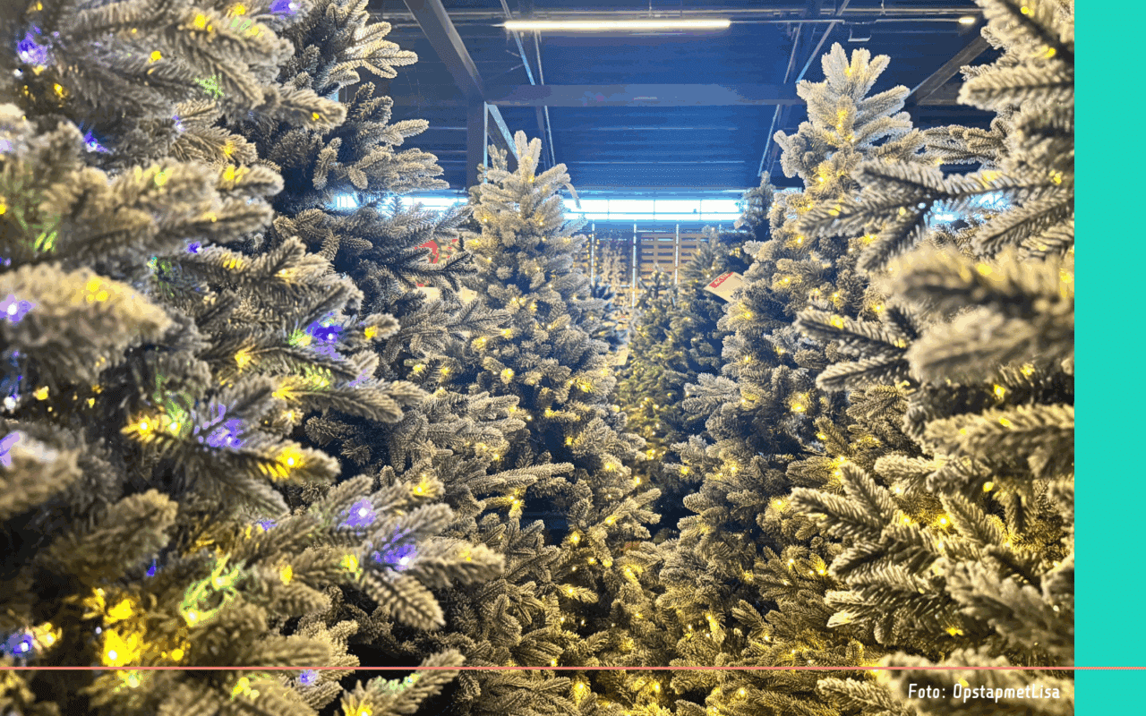 Kerstshow tuincentrum (3)