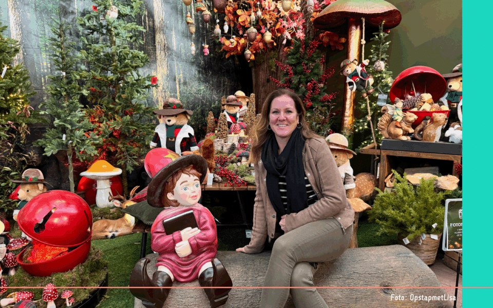 Kerstshow tuincentrum (4)