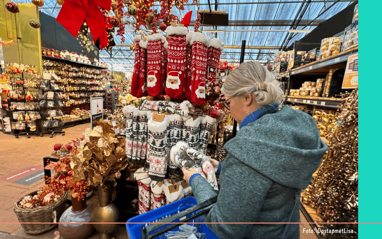 Kerstshow tuincentrum (5)