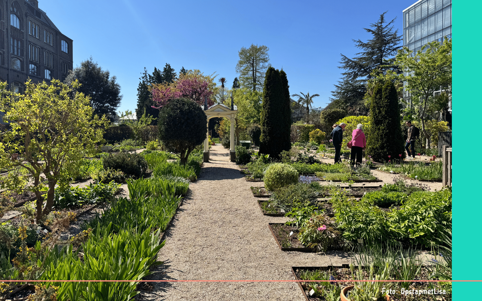Leiden Hortus Botanicus