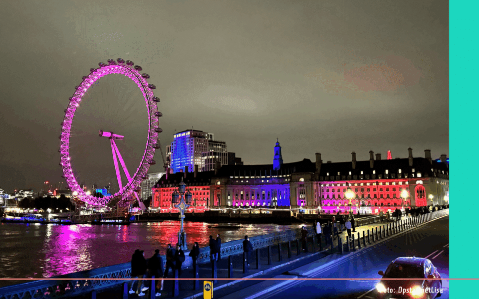 Londen in kerstsfeer London Christmas lights tour (1)