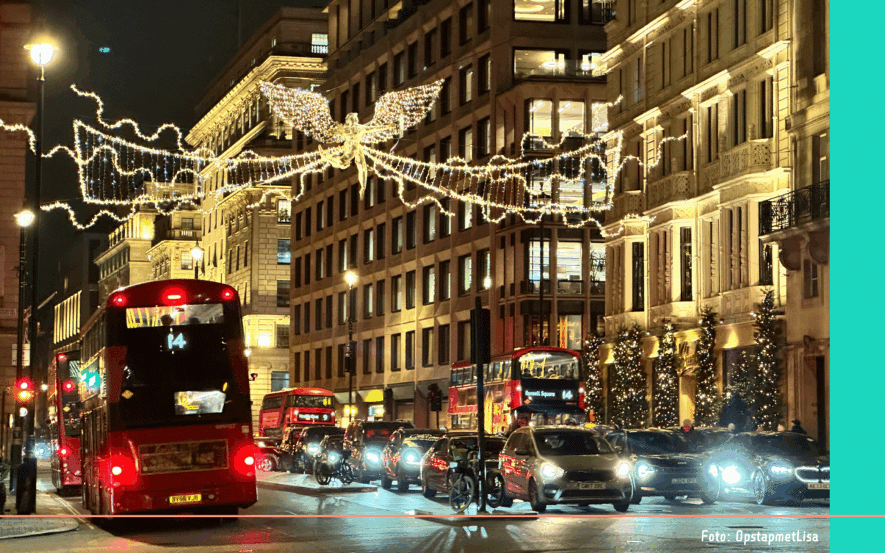 Londen in kerstsfeer London Christmas lights tour (2)