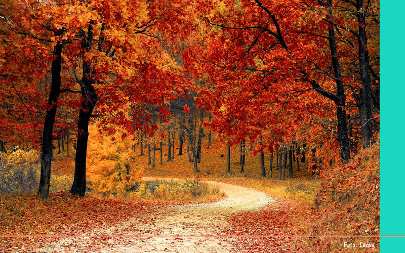 Romantisch herfstweekend weg