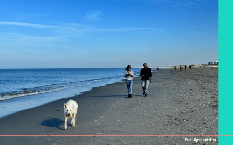 Wandelen in de herfst strandwandeling