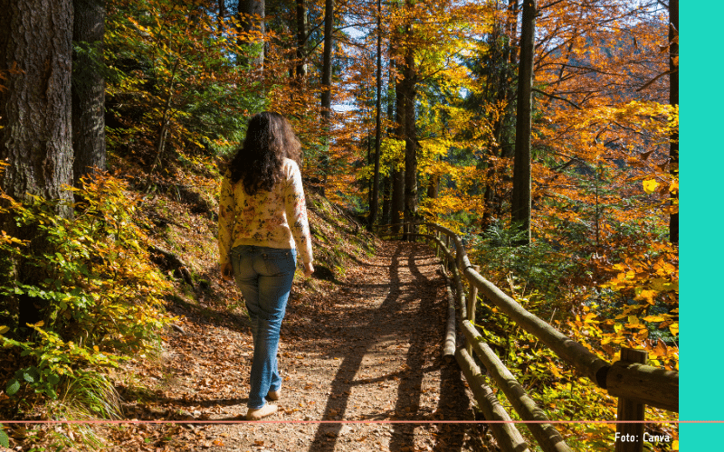 Wandelen in de herfst