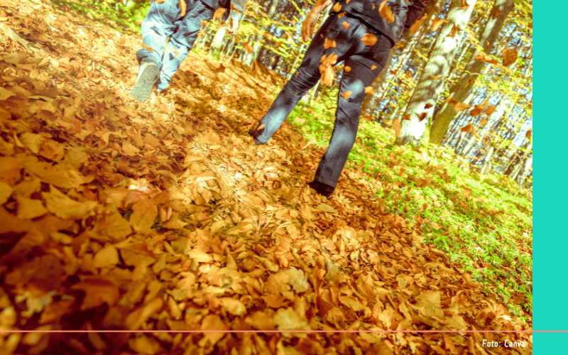 Wandelen in de herfst