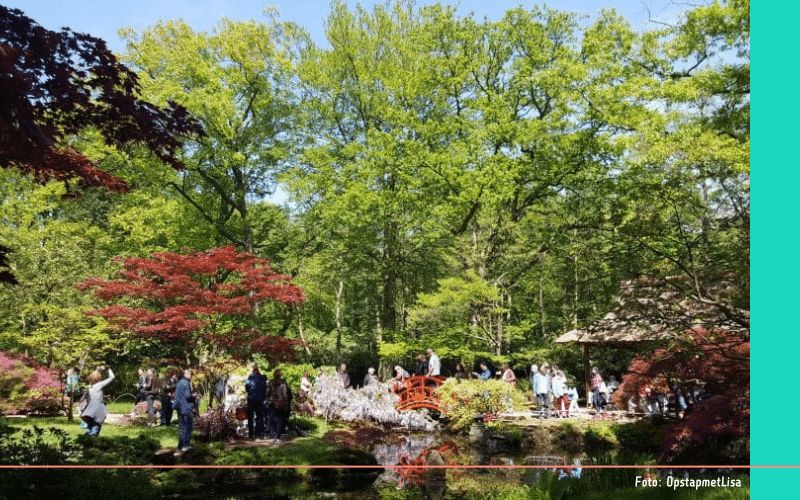 Japanse Tuin Clingendael