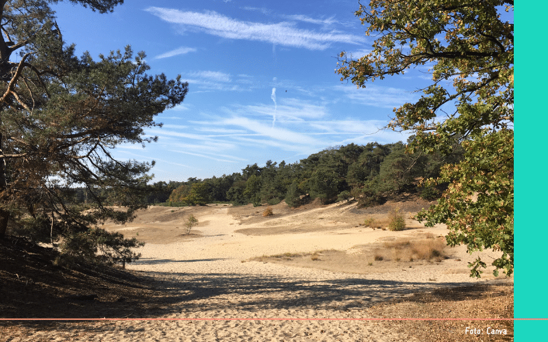 Drunense Duinen