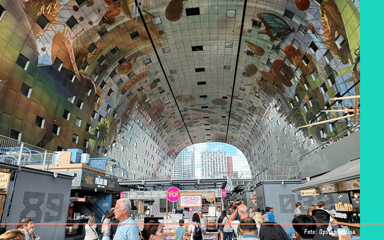 Rotterdam kunst Markthal