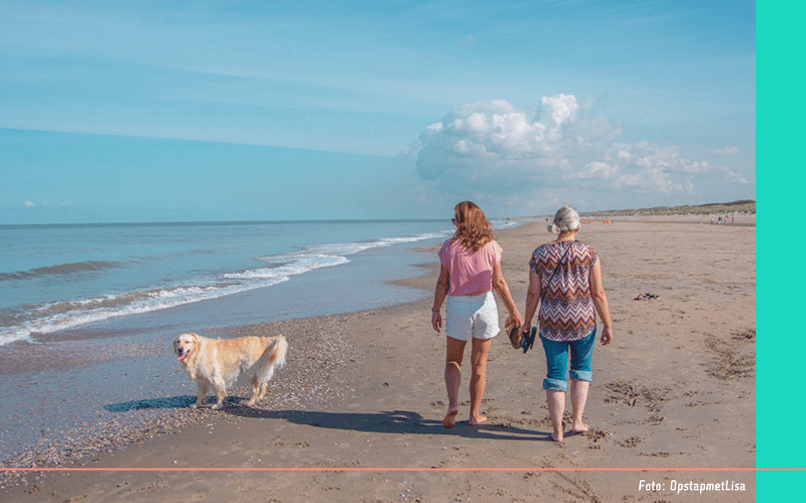Met de hond op het strand
