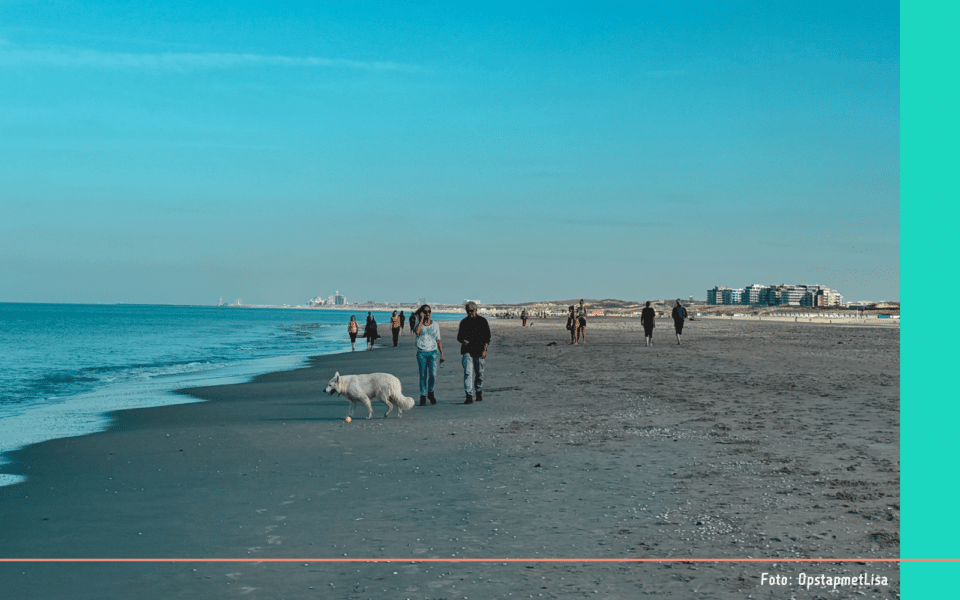 Met de hond op het strand op Kijkduin