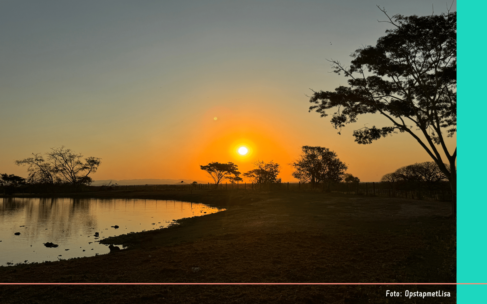Brazilie Pantanal Miranda