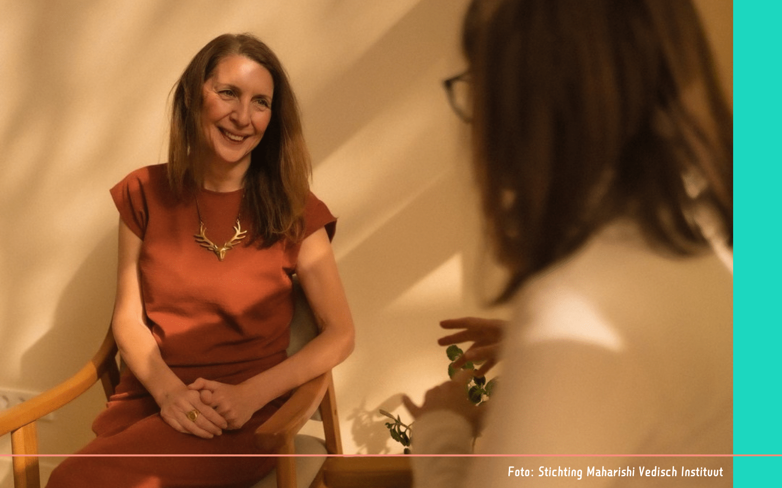 Stichting Maharishi Vedisch Instituut