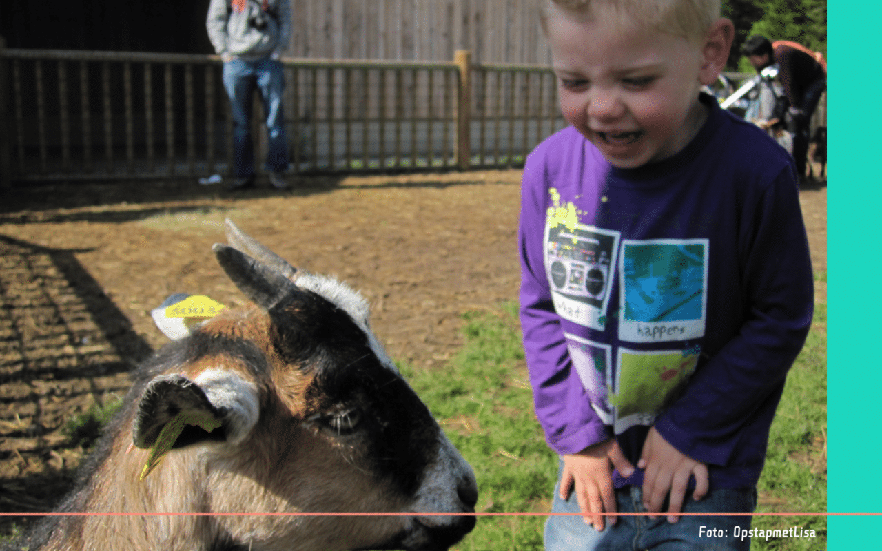 Delft met kinderen