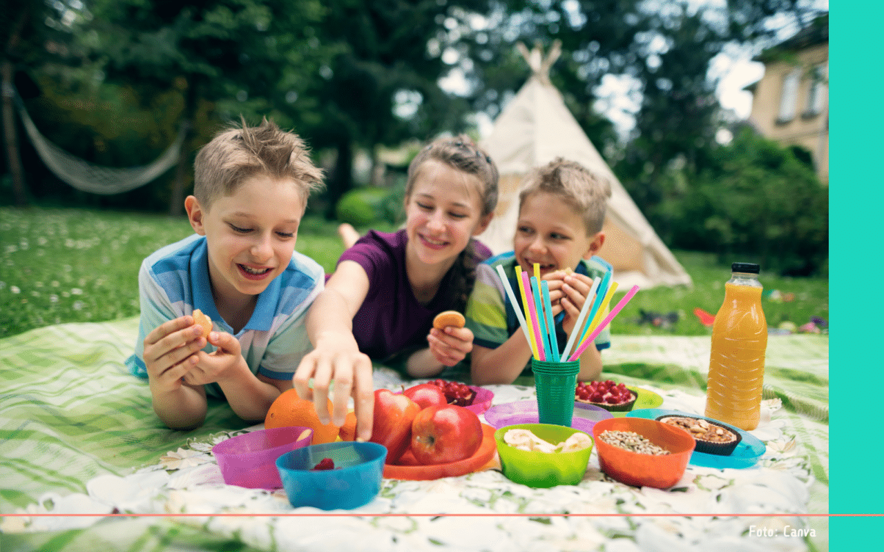Picknick Delft