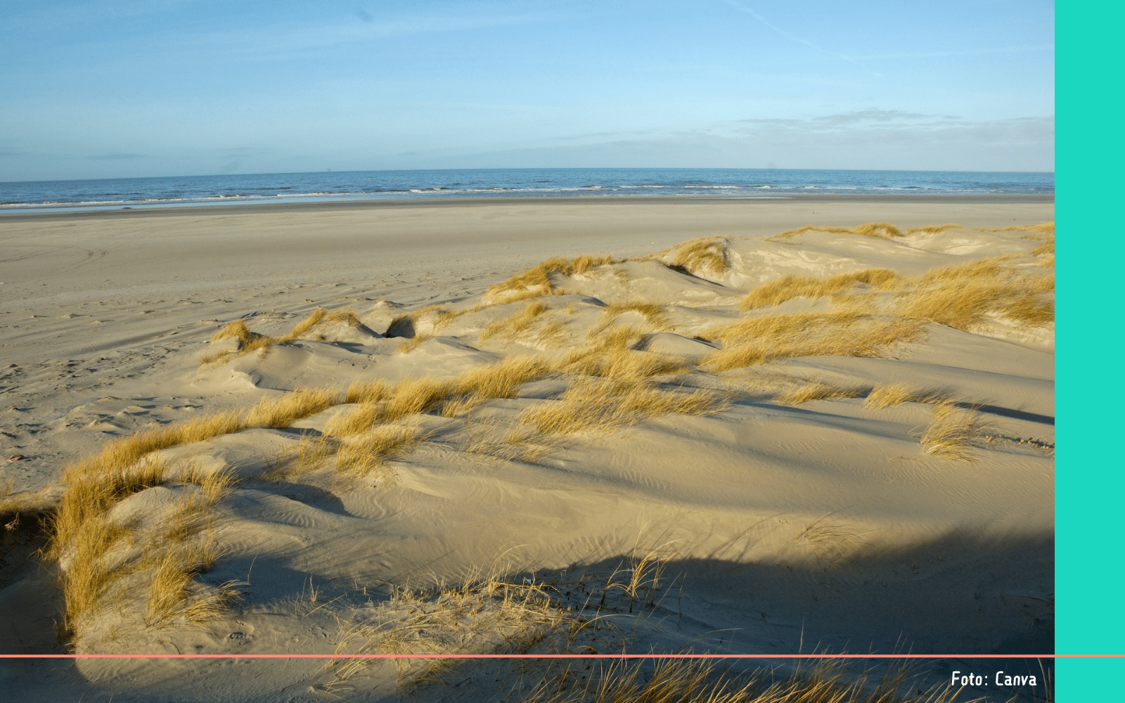 Vlieland (1)