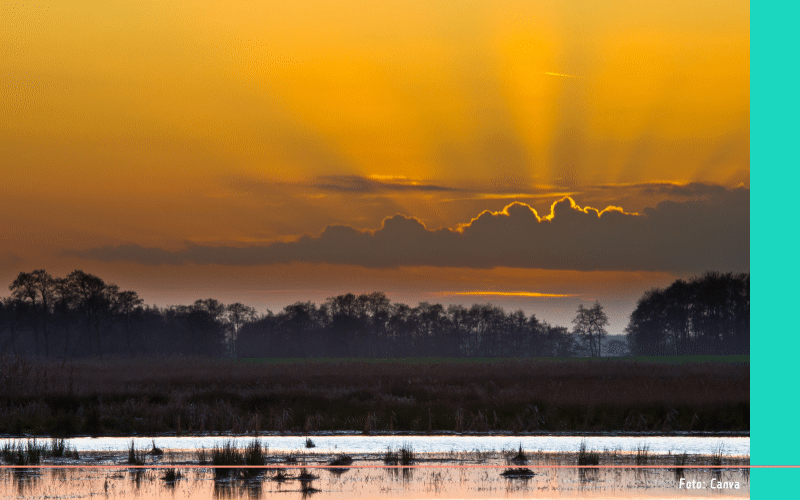 nazomer hotspot (13)