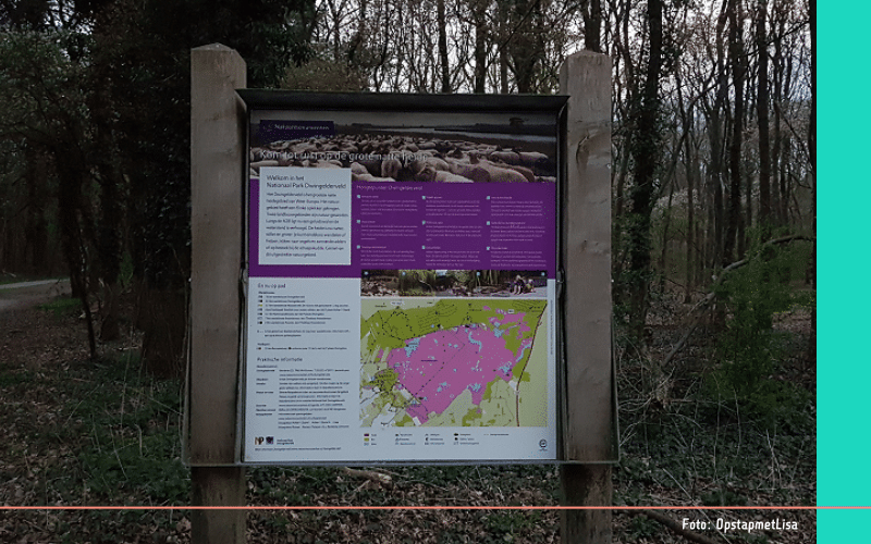 nazomer hotspot (13)